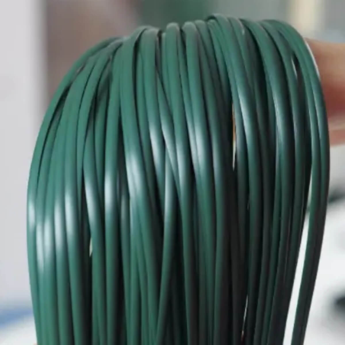 Forest Green